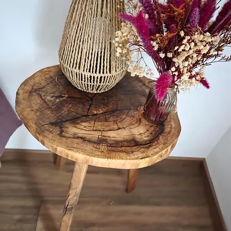 Pour 15 Au Calme A Floirac